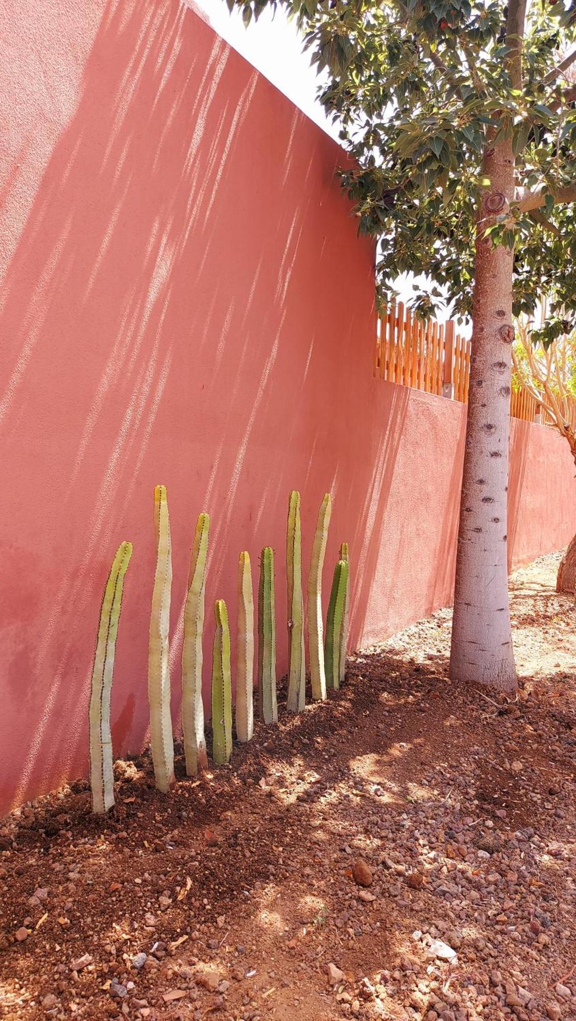 הוילה סן מיגל דה אבונה Adosado La Tabaiba מראה חיצוני תמונה